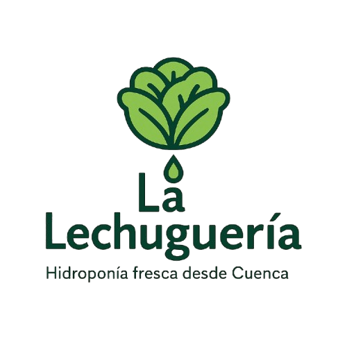 Lechugas Cuenca